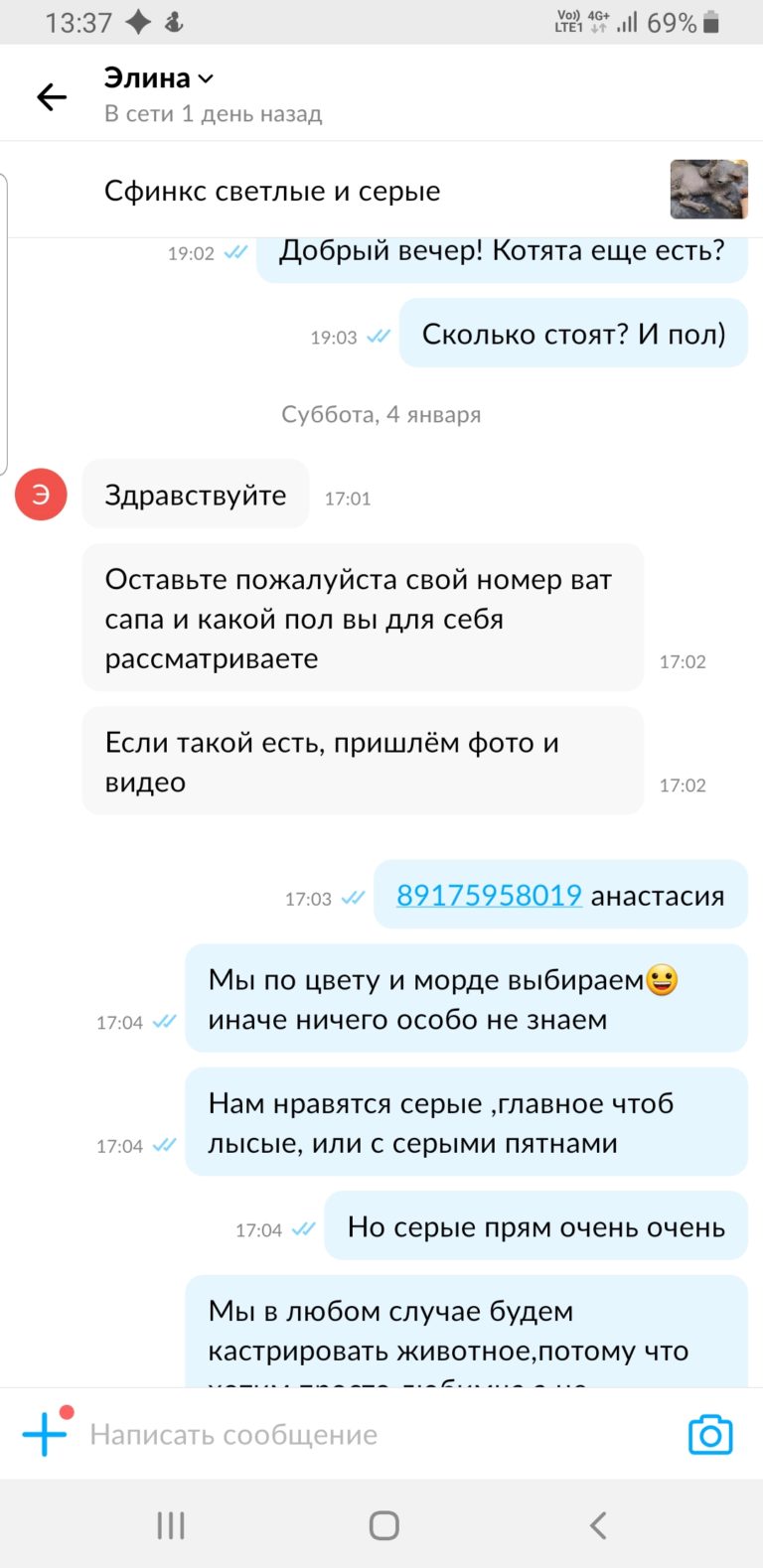 Продавец сфинксов Мошенница