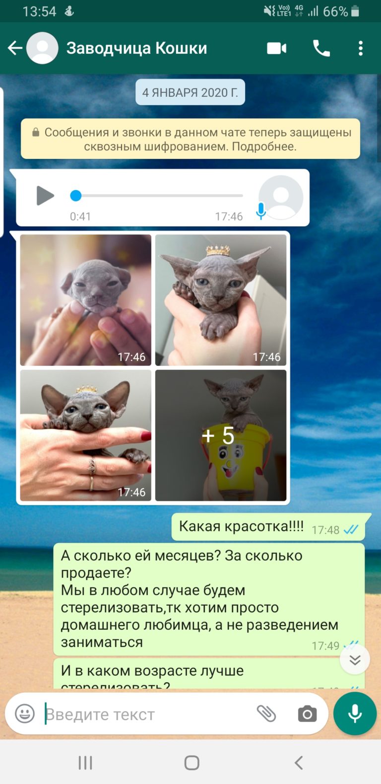 Продавец сфинксов Мошенница