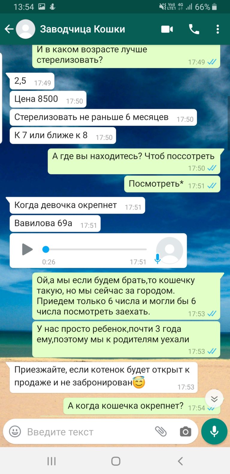 Продавец сфинксов Мошенница