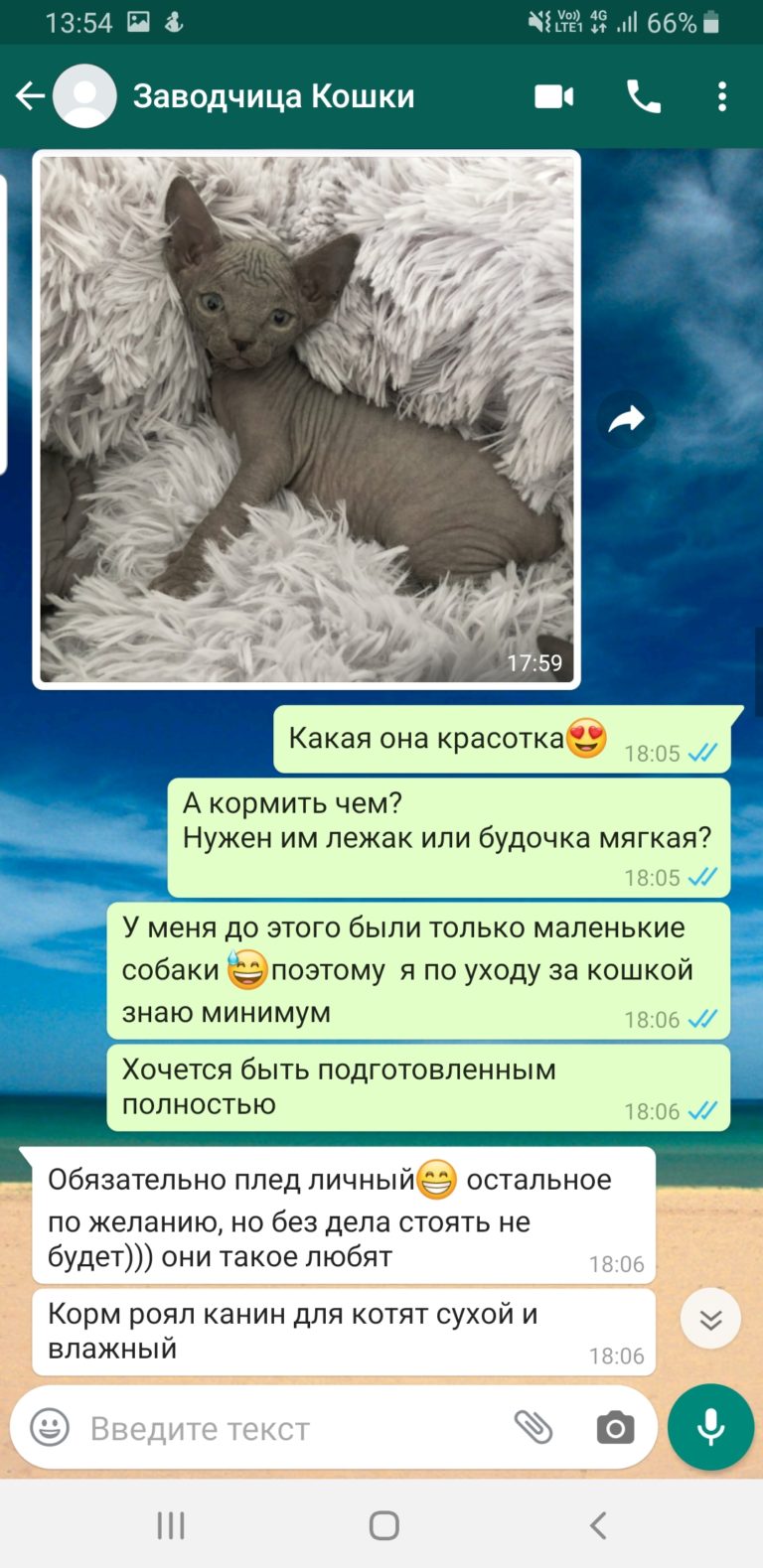 Продавец сфинксов Мошенница