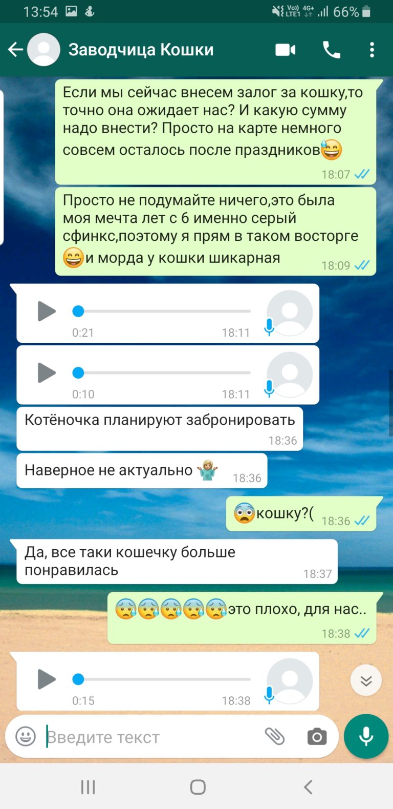 Продавец сфинксов Мошенница