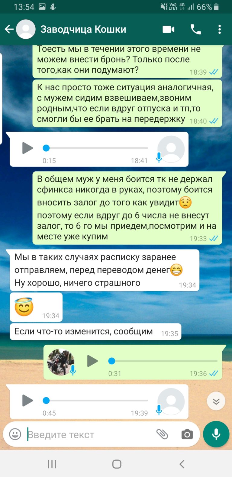 Продавец сфинксов Мошенница
