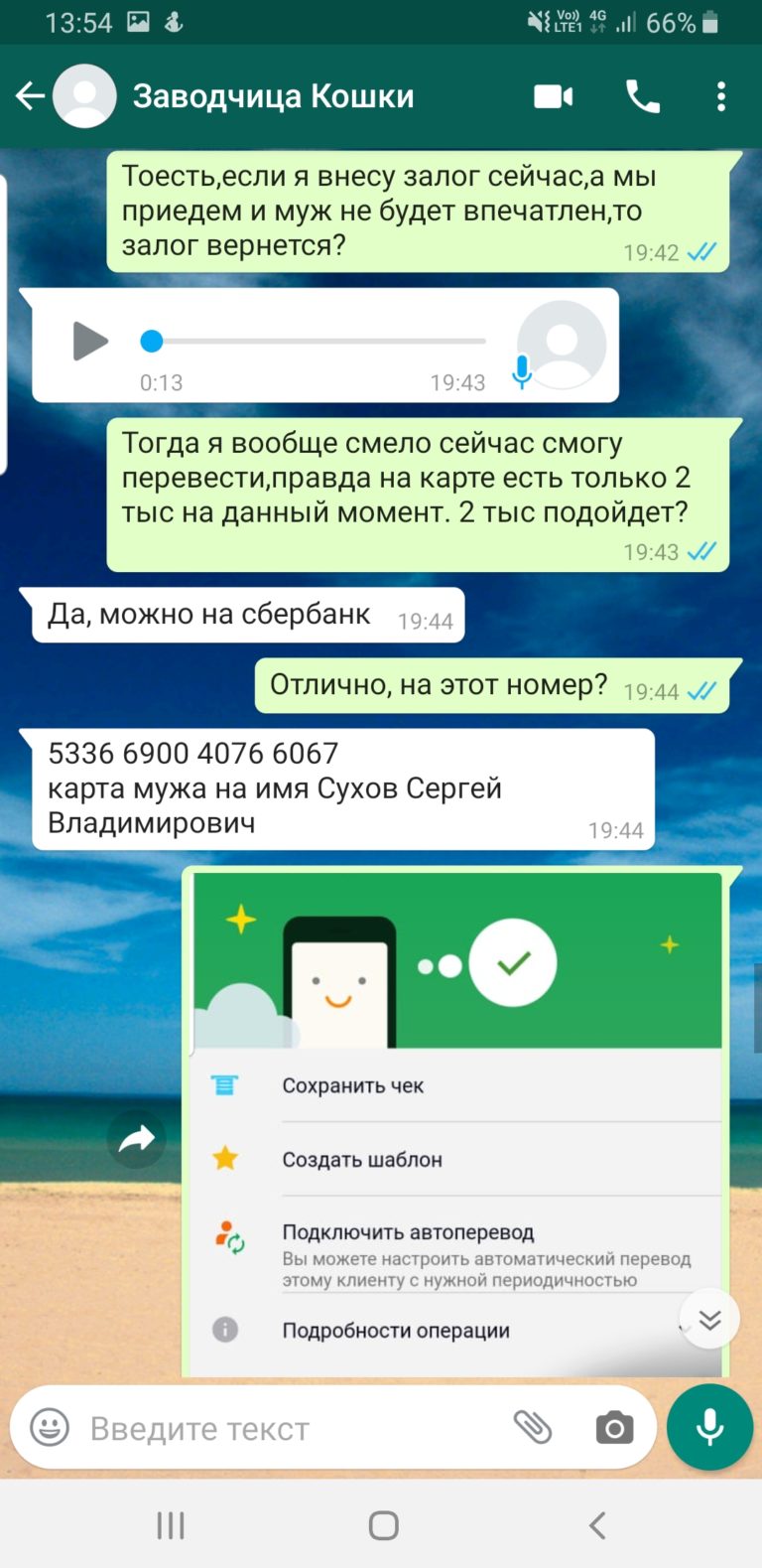 Продавец сфинксов Мошенница