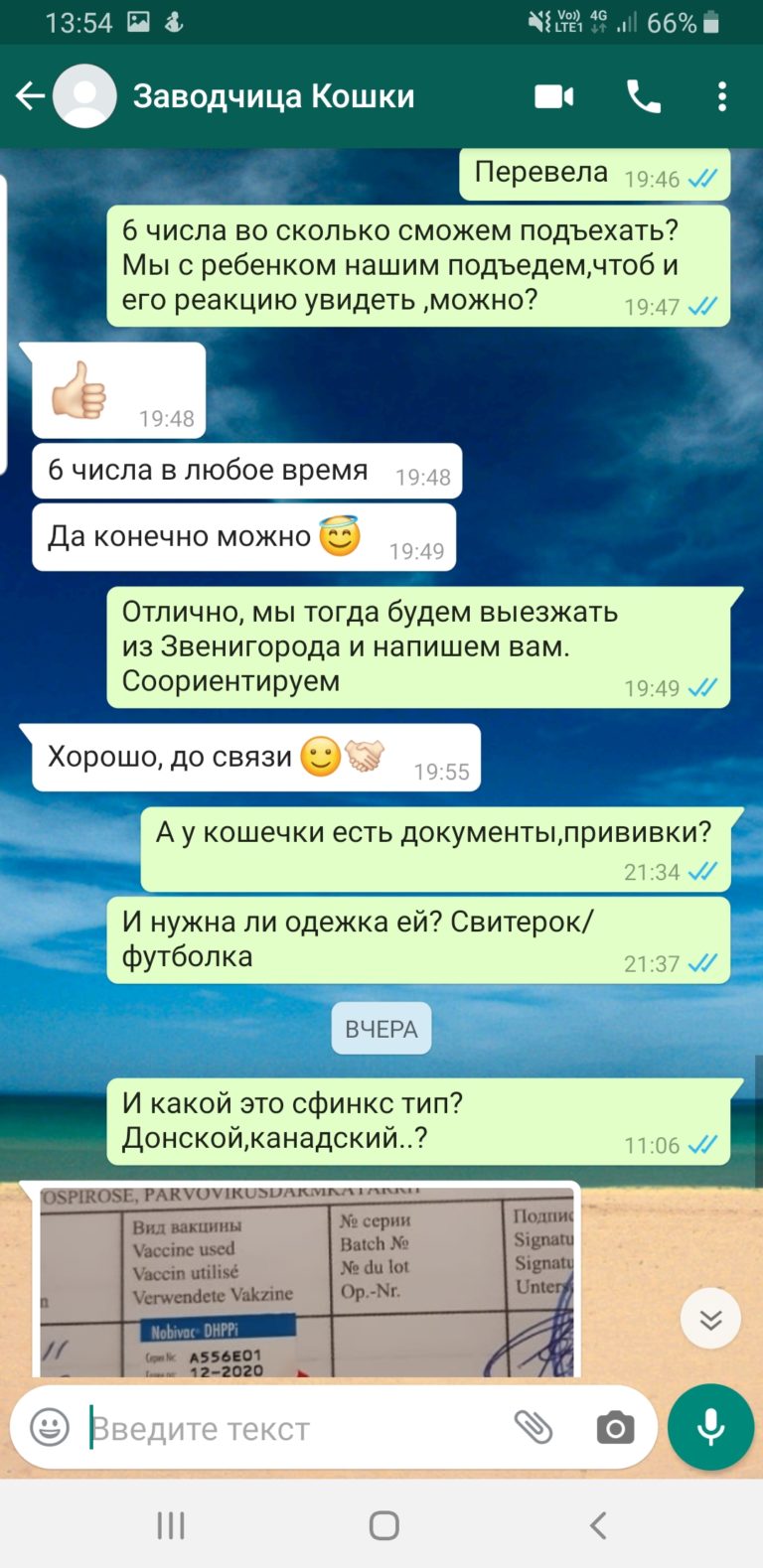 Продавец сфинксов Мошенница
