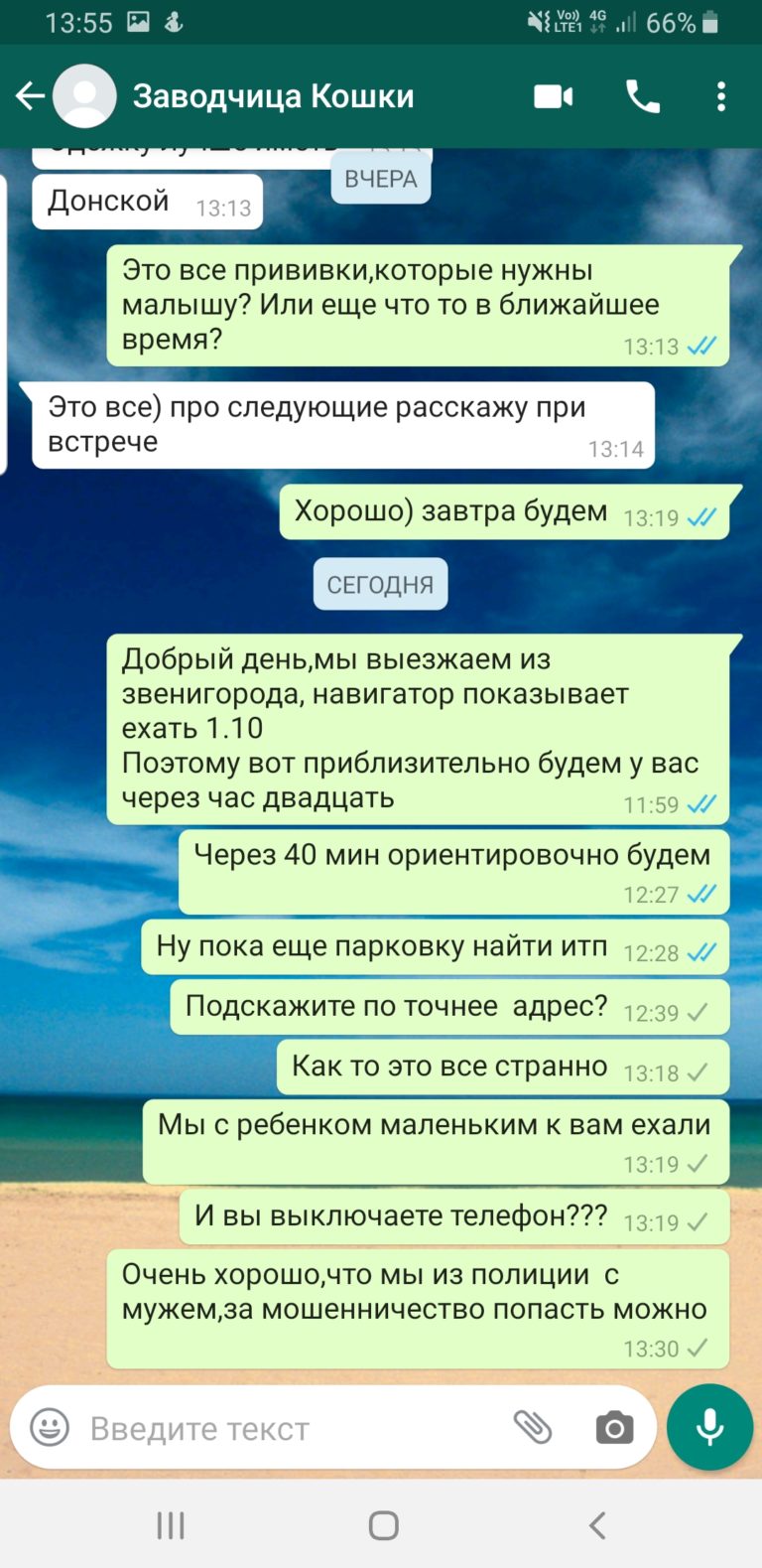 Продавец сфинксов Мошенница