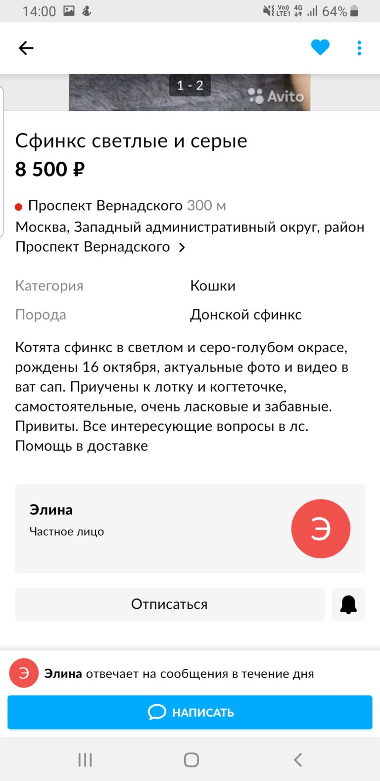 Продавец сфинксов Мошенница