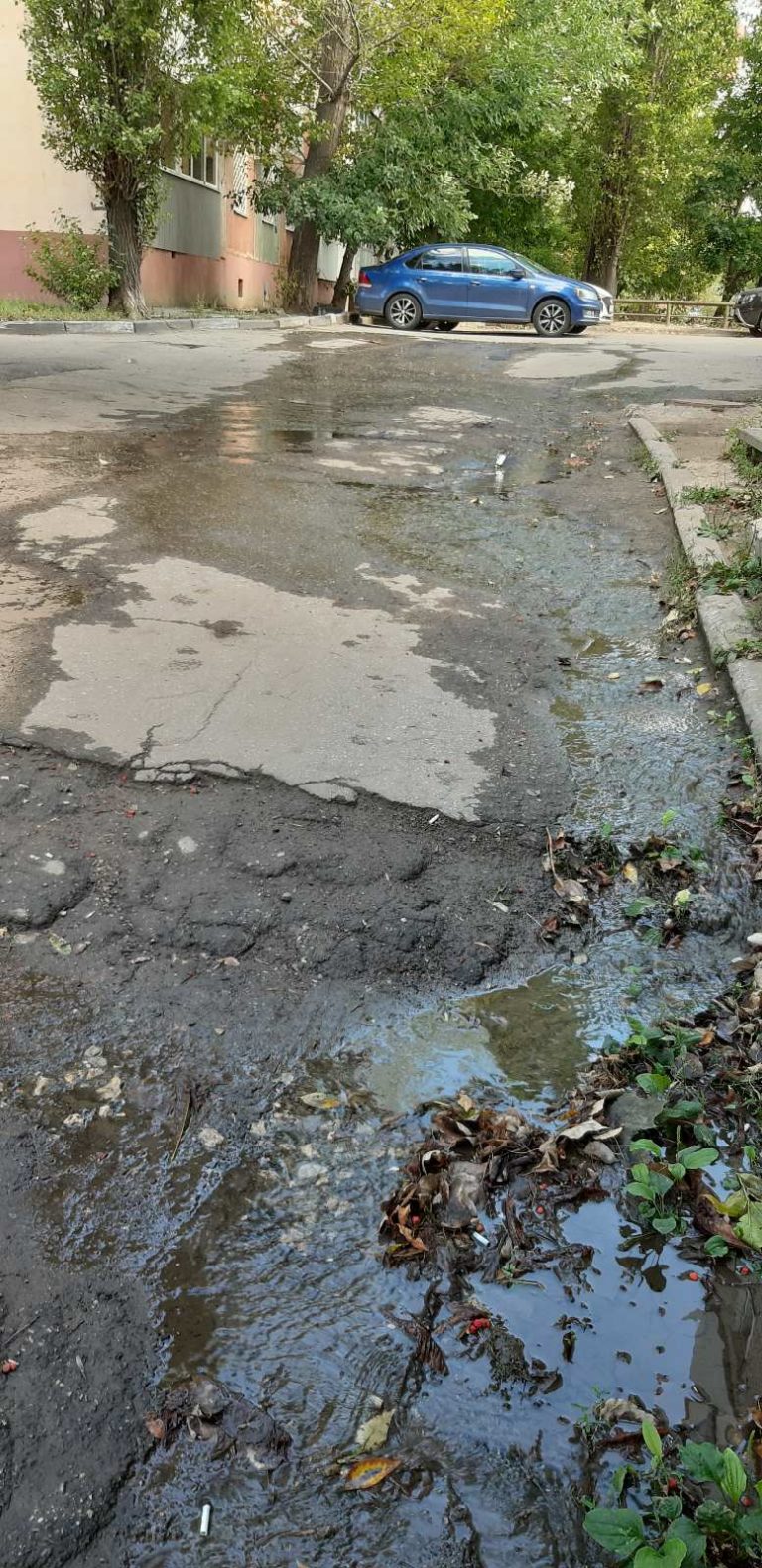 Саратов ул. Моторная